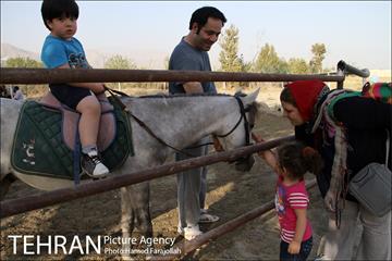 سوارکاری ورزشی برای کودکان‎ 20