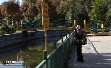 تور عکاسی بوستان بعثت 23