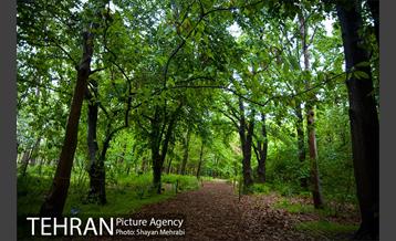 باغ گیاه‌شناسی ملی ایران 32