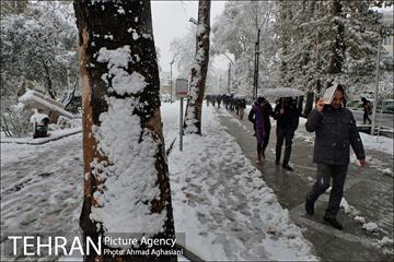 بارش اولین برف پاییزی در تهران 33