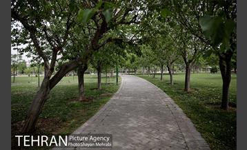 بوستان آزادگان 20