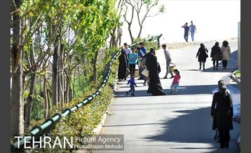 بوستان نهج البلاغه 31