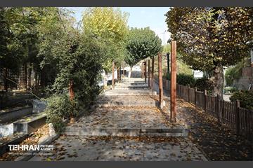 طبیعت پاییزی باغ راه فدک تهران 42