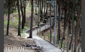 حال و هوای پایتخت در اولین روز بهار 9