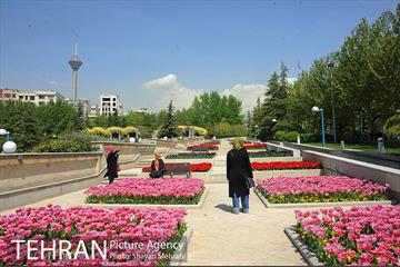 رویش گل های لاله در بوستان گفتگو 6