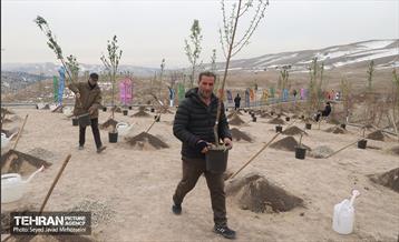 آیین روز درخت‌کاری و پایان پروژه کاشت ۲۵۰۰ هکتار کمربند سبز پایتخت  50