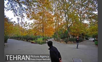 پاییز در پارک های تهران 8