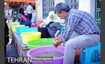 بازار میوه تربار مرکزی 19