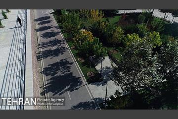 گذرفرهنگی تاراز 15