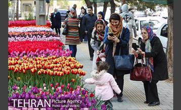 هفتمین سالگرد رویداد جذاب و دیدنی "پیاده راه لاله برای مادران" 3