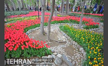 روش گل های لاله در باغ ایرانی 2