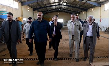 بازدید شهردار تهران از موکب علی ابن موسی الرضا(ع) و صاحب الزمان(عج)