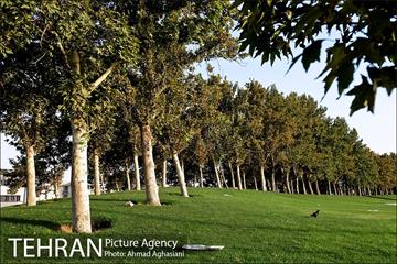 میدان و برج آزادی تهران 10