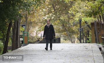 طبیعت پاییزی باغ راه فدک تهران 23