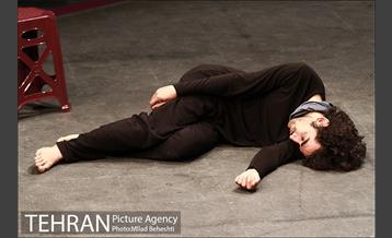 نمایش هویت پروانه های مرده‎ 12