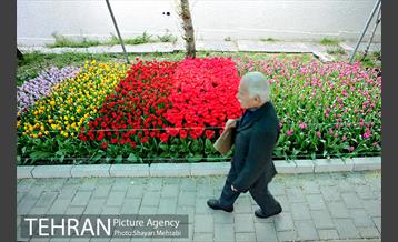 پیاده راه لاله مادران 49