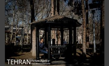 روزهای آفتابی پارک لاله 4