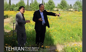 تهرانگردی احمد مسجدجامعی در منطقه 22‎ 2