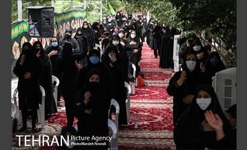 زیر آسمان روضه 1