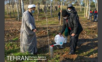 کاشت 2200 اصله نهال در بوستان جنگلی چیتگر 11