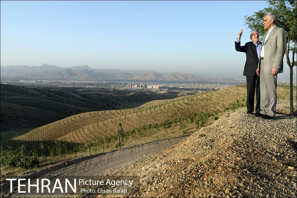 بازدید شهردار تهران از طرح‌های جنگل کاری شمال تهران  3