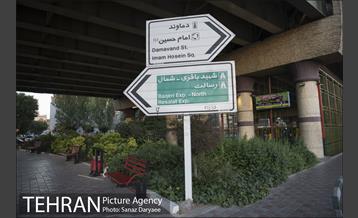 میدان شقایق‎ 7