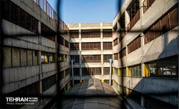 جای خالی پروانه ها 18