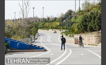 بوستان جوانمردان 30