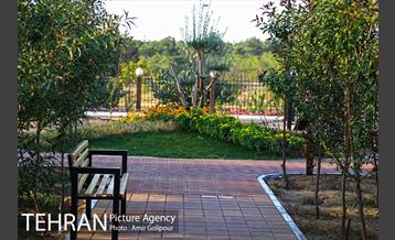 باغ راز هستی 14