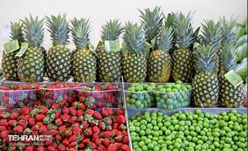 افتتاح بازار میوه و تره‌بار در منطقه 22 29