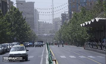 تهران خاکستری 12