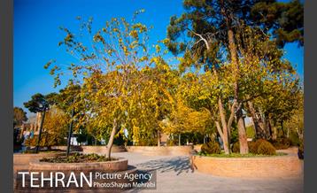 پاییز باغ موزه قصر 36