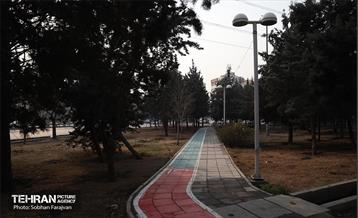 بازدید نخبگان منطقه ۵ از پروژه‌های عمرانی 52