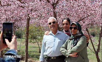 شکوفه‌های بهاری در بوستان سمن‌ها 19