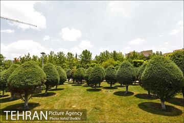 بوستان میعاد 22