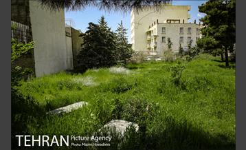 گورستان ده ونک 17