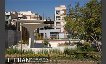 بوستان بخشی فر 10