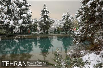 برف زمستانی پارک جمشیدیه 16