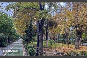 پاییز پارک شهر 2