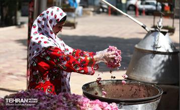 نوزدهمین جشنواره گل و گلاب تهران  17