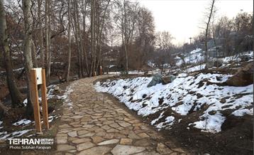 بازدید نخبگان منطقه ۵ از پروژه‌های عمرانی 11