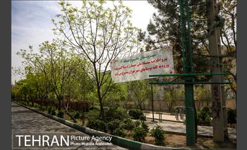 روز طبیعت بدون انسان 15