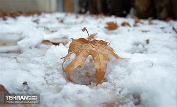 درکه پس از بارش برف  15