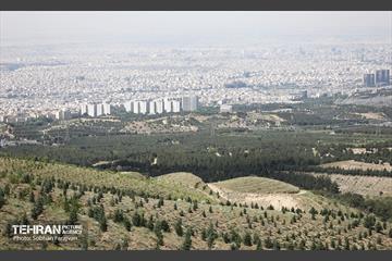 بازدید اصحاب رسانه از کمربند سبز 7