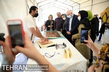 روز جهانی صنایع دستی در منطقه گردشگری عباس آباد 29