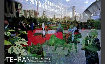 شانزدهمین نمایشگاه بین المللی گل و گیاه تهران - 2 5