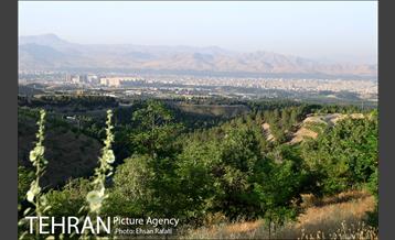 بازدید شهردار تهران از طرح‌های جنگل کاری شمال تهران  19