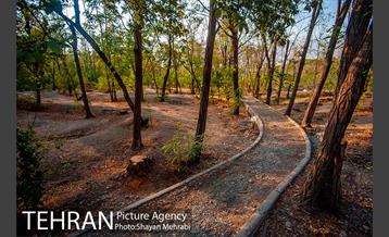 بوستان جنگلی چیتگر 26