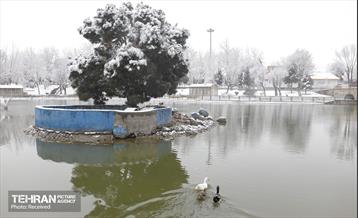 روز برفی تهران - 3 27