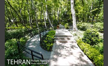باغ ایرانی 27
